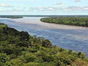 Les plus grandes forêts