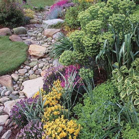 Noue paysagère en pierres bordée de plantes et de fleurs