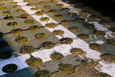 Dalles alvéolées couvertes de mousse, laissant apparaître le sol entre elles