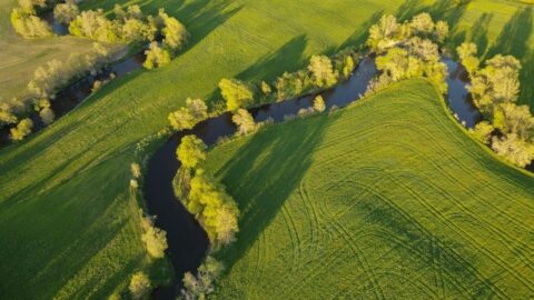 Vue aérienne d’une rivière sinueuse au milieu de prairies verdoyantes